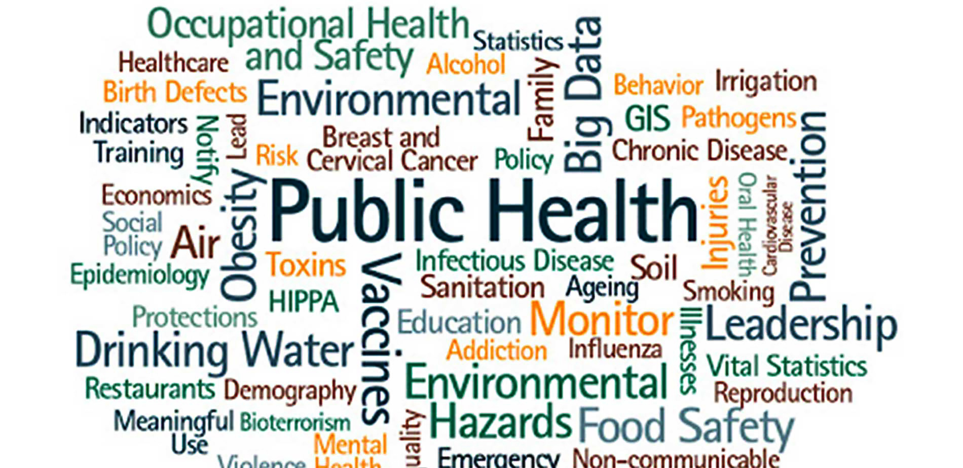 What Major Does Public Health Fall Under