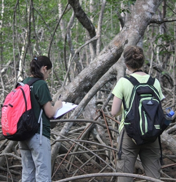 RIC students in field for environmental studies