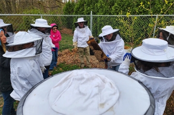 RICFest guests taking a beehive tour