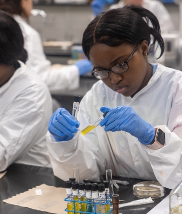 Biology student looking at test tube specimens